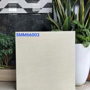 504271411_724972926944144_7168970295819116671_n
